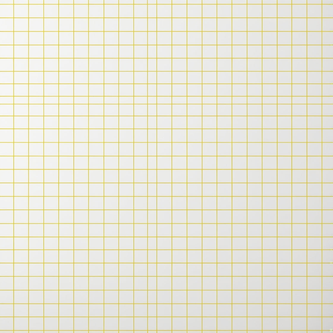 Leonardo_Phoenix_09_A_seamless_grid_background_with_thin_brigh_0.jpg__PID:d8a143a3-921b-4a9e-88db-9e1abf4b7b1d